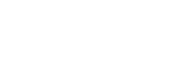 baumann-logo-300a-weiss